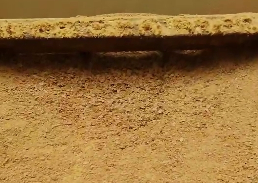 生產(chǎn)現(xiàn)場展示